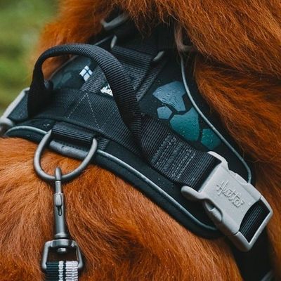 0UfEl6ufhDTWD7N1764327017