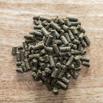 0YnI2ZrYgSLi88M1764324862