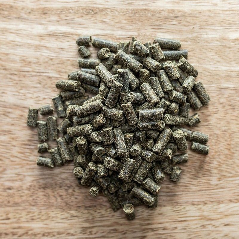 St Hippolyt MoviCur 10kg