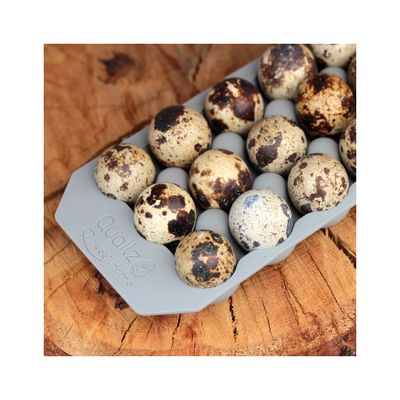 Vakteläggslåda i Silikon Grå