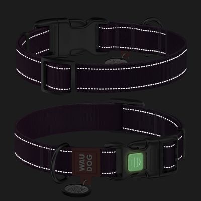 WAUDOG Mono Hundhalsband Reflex med Smart-ID bricka Lila