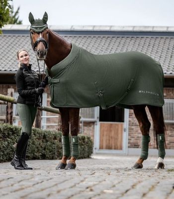 0kyEqlx5ckzstXv1764327651