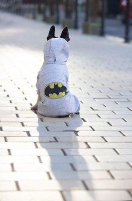 0lSw4jAEY20jMBa1764327155