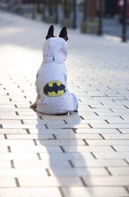 WAUDOG Hundjacka Softshell Batman