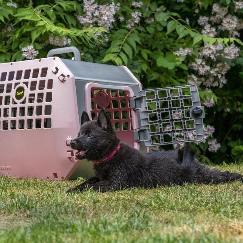 Mim Hundbur Care2 Large Rosa