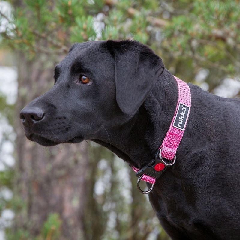Rukka Star Collar Pink