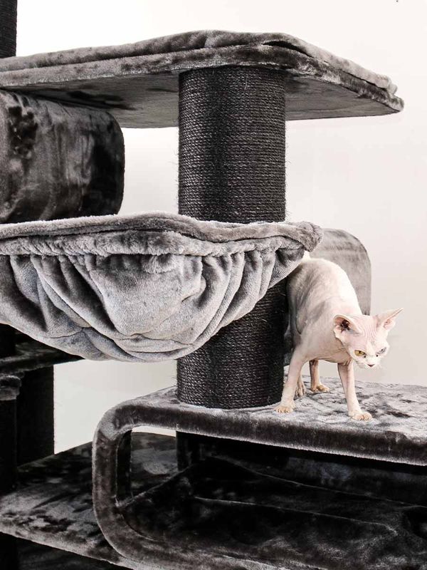 Klösträd Norwegian 200