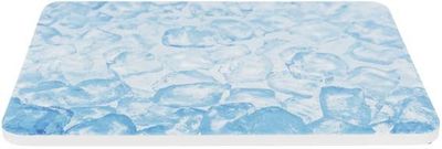 Kylplatta hamster keramik 20x15 cm blå