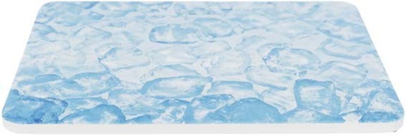 Kylplatta hamster keramik 20x15 cm blå