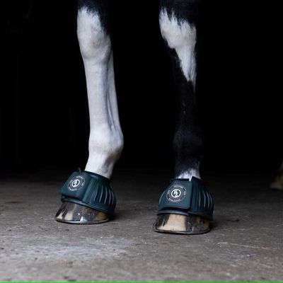 1WPhWTB8i3nTd1R1764327673