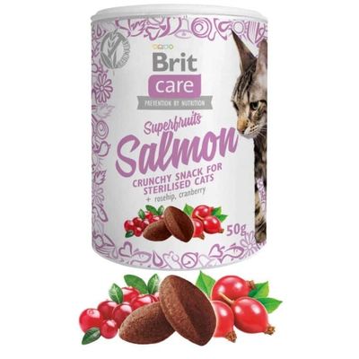 Brit Care Cat Snack Superfruits Salmon 100g