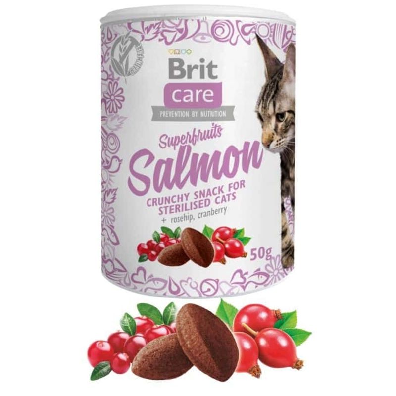 Brit Care Cat Snack Superfruits Salmon 100g