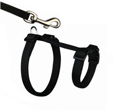 1YkQW0nmmpiVbaC1764324954