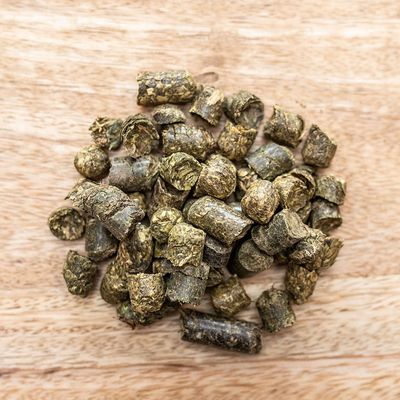 1hzDatOmb9p6Dc61764326418