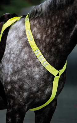 Equi-Flector Brösta