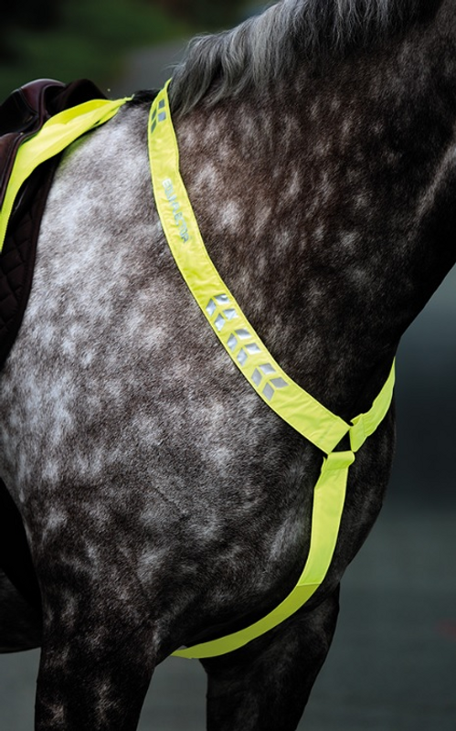 Equi-Flector Brösta