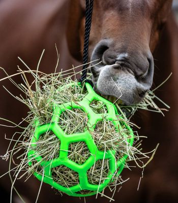 Waldhausen Slow Feed Höboll