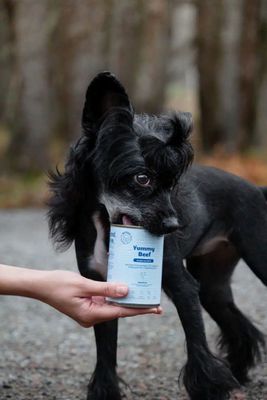 7WsxtTJJ8IU9Y4T1764327657