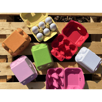 Äggkartong 6-ägg Färgad