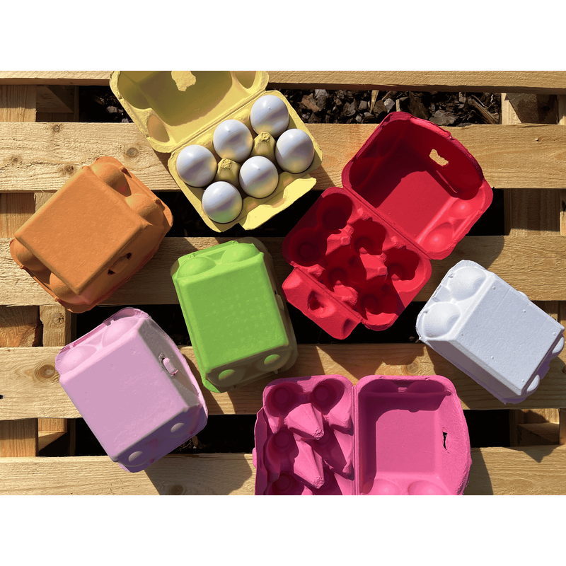 Äggkartong 6-ägg Färgad