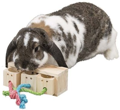 7nPg6qyLiQfQ2wt1764326458