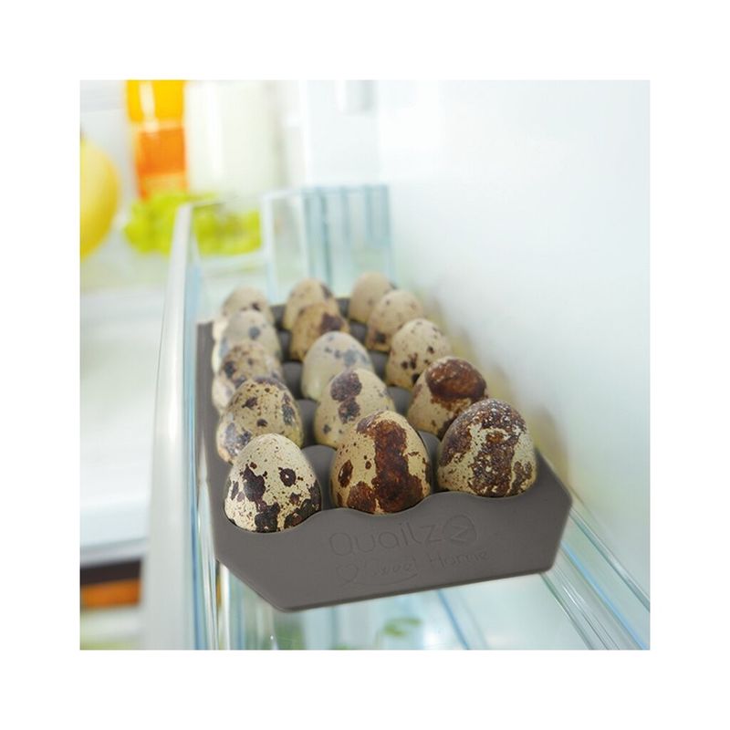 Vakteläggslåda i Silikon Grå