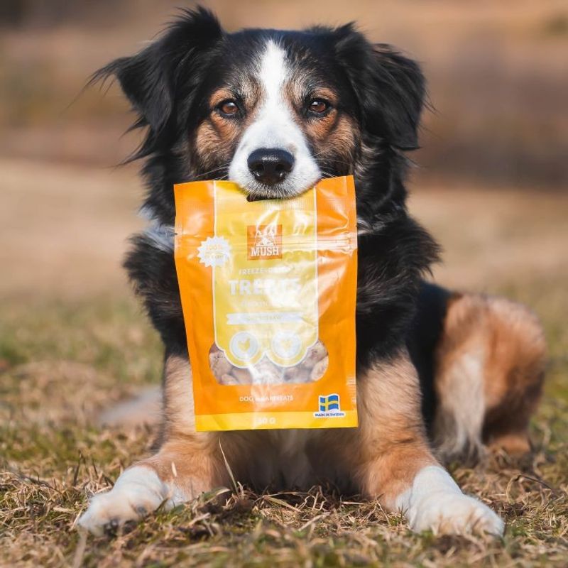 MUSH Treats Frystorkad Kycklinghjärta 50 g