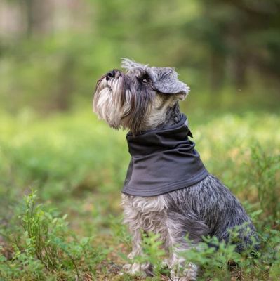 HuppuPomppa Tubhalsduk Graphite