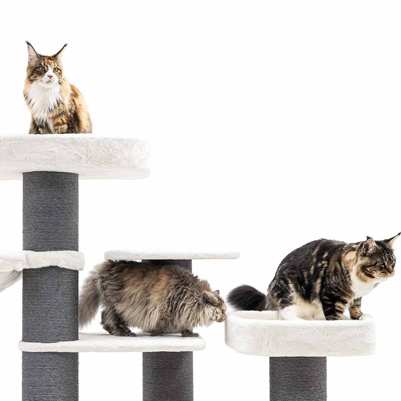 PetRebels Klösträd Bengal 199