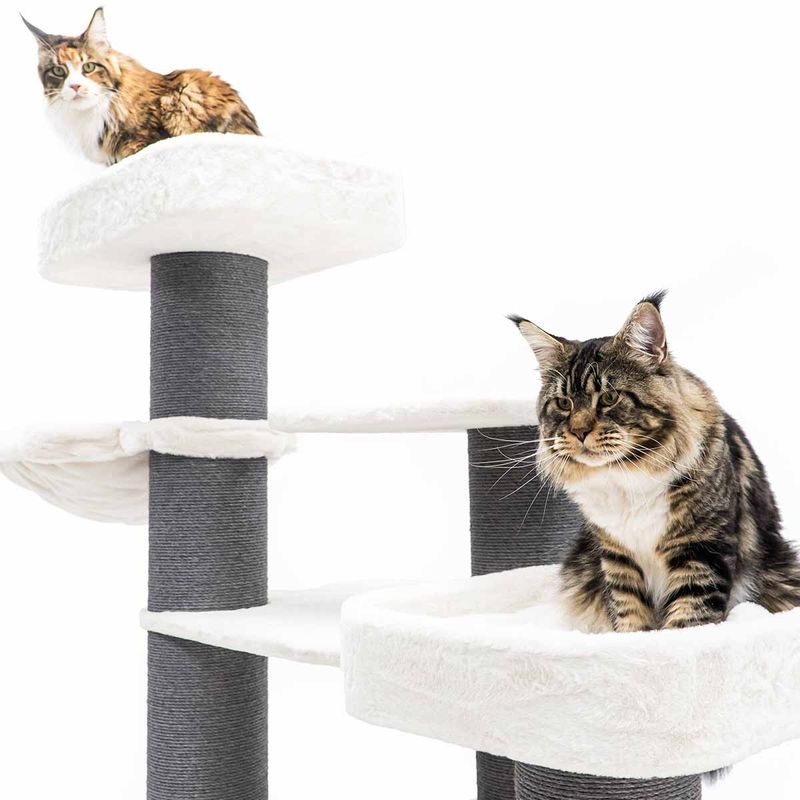 PetRebels Klösträd Bengal 199