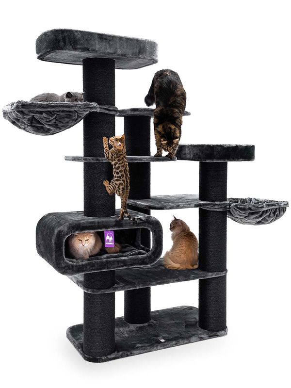 PetRebels Klösträd Bengal 199