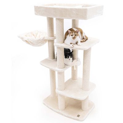 PetRebels Klösträd Springfield 139