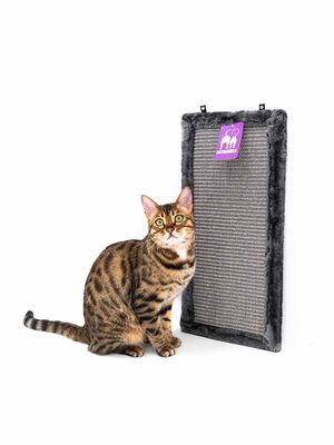 465bHICDZ0DxUMW1767083317