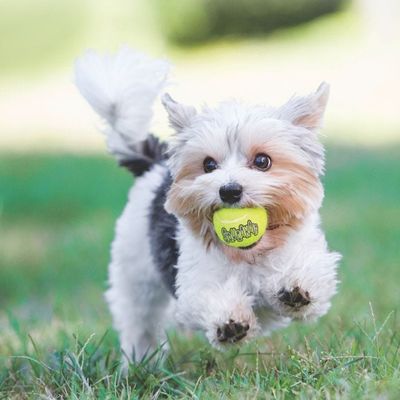 48Fo7yba301CZgz1764325251