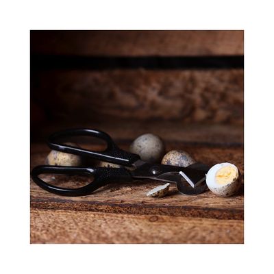 4n0VJARNZQoLfBk1764326410