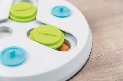 Aktivitetsspel Slide & Fun Board, plast, ø 23 cm