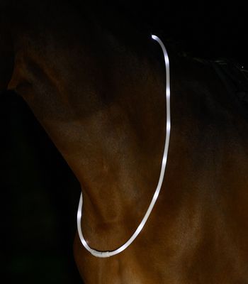 Waldhausen LED light Halsring till häst 150cm