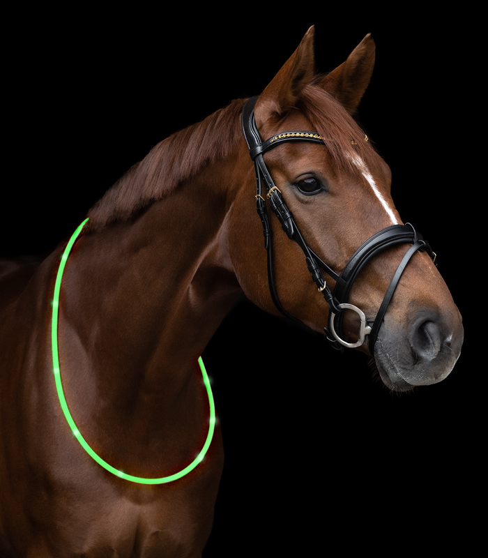Waldhausen LED light Halsring till häst 150cm