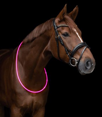 Waldhausen LED light Halsring till häst 150cm