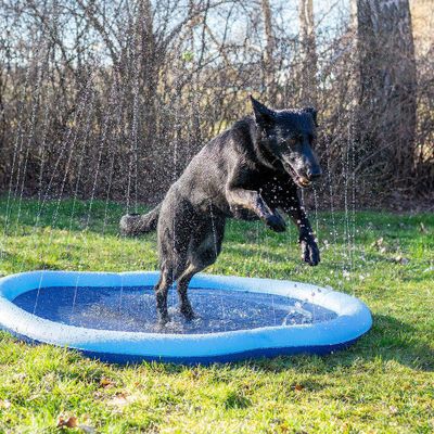 Ozami Dog Splash Pool 150cm