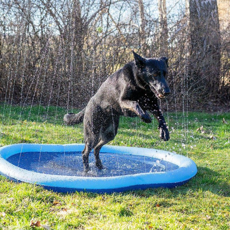 Ozami Dog Splash Pool 150cm