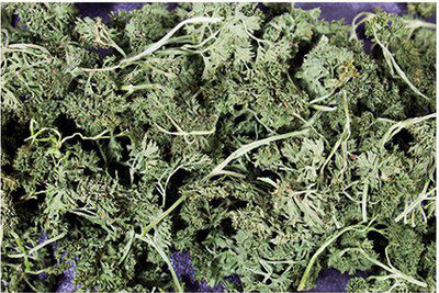 62ab5nnqZ8tmwqB1764325435