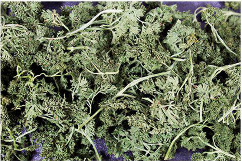 JR Farm Persiljesallad 50g