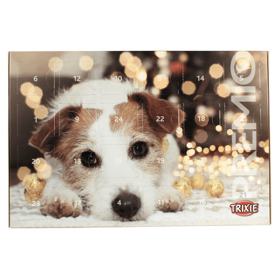 JUL Adventskalender PREMIO Hund