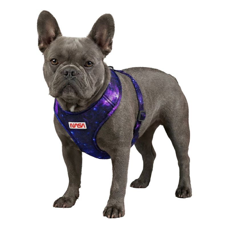 WAUDOG Mesh Hundsele NASA21