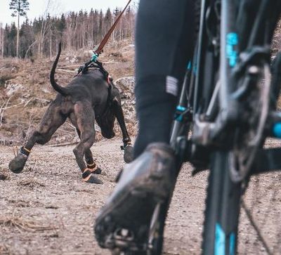 6AS4wQLdRiekOcf1764326006