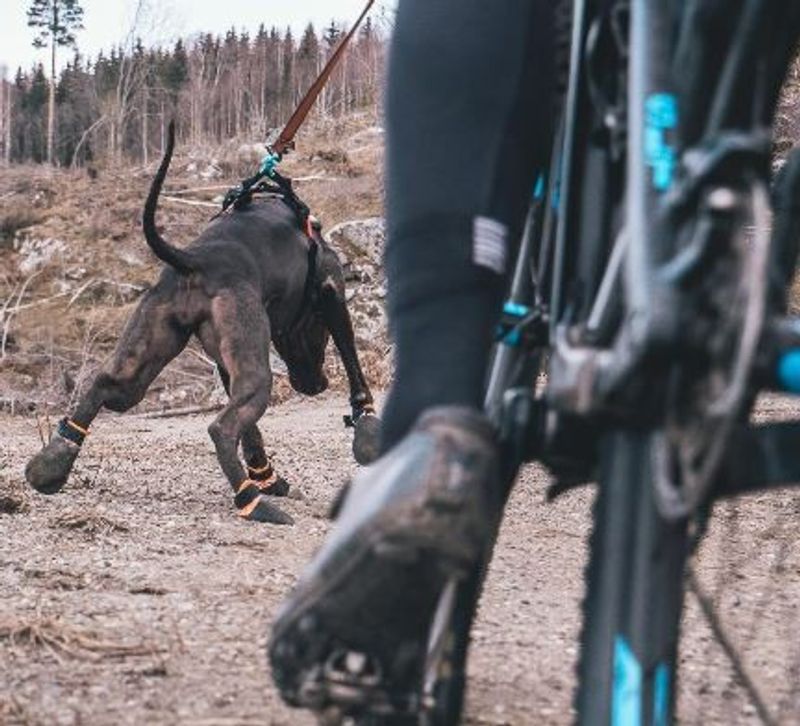 Non-Stop Protector Bootie 4-pack Orange/svart