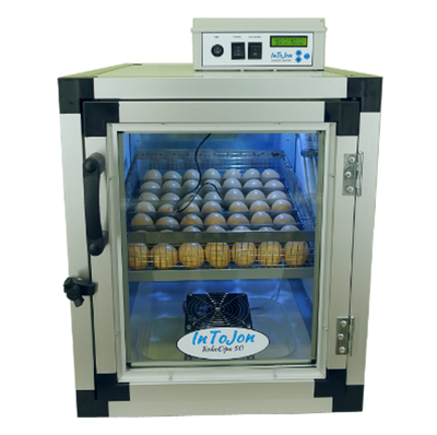 Äggkorg till RoboCipa äggkläckare