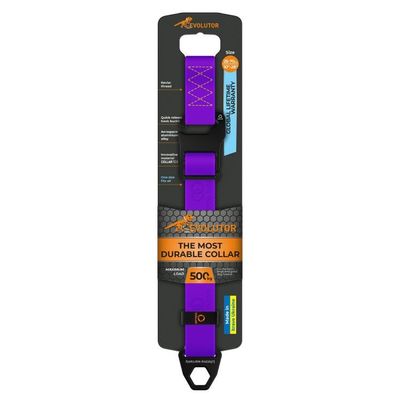 Evolutor Hundhalsband One Size 25mm 25-70cm (Lila)