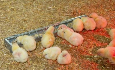 6Y2cz8aJ04nqYGU1764326495